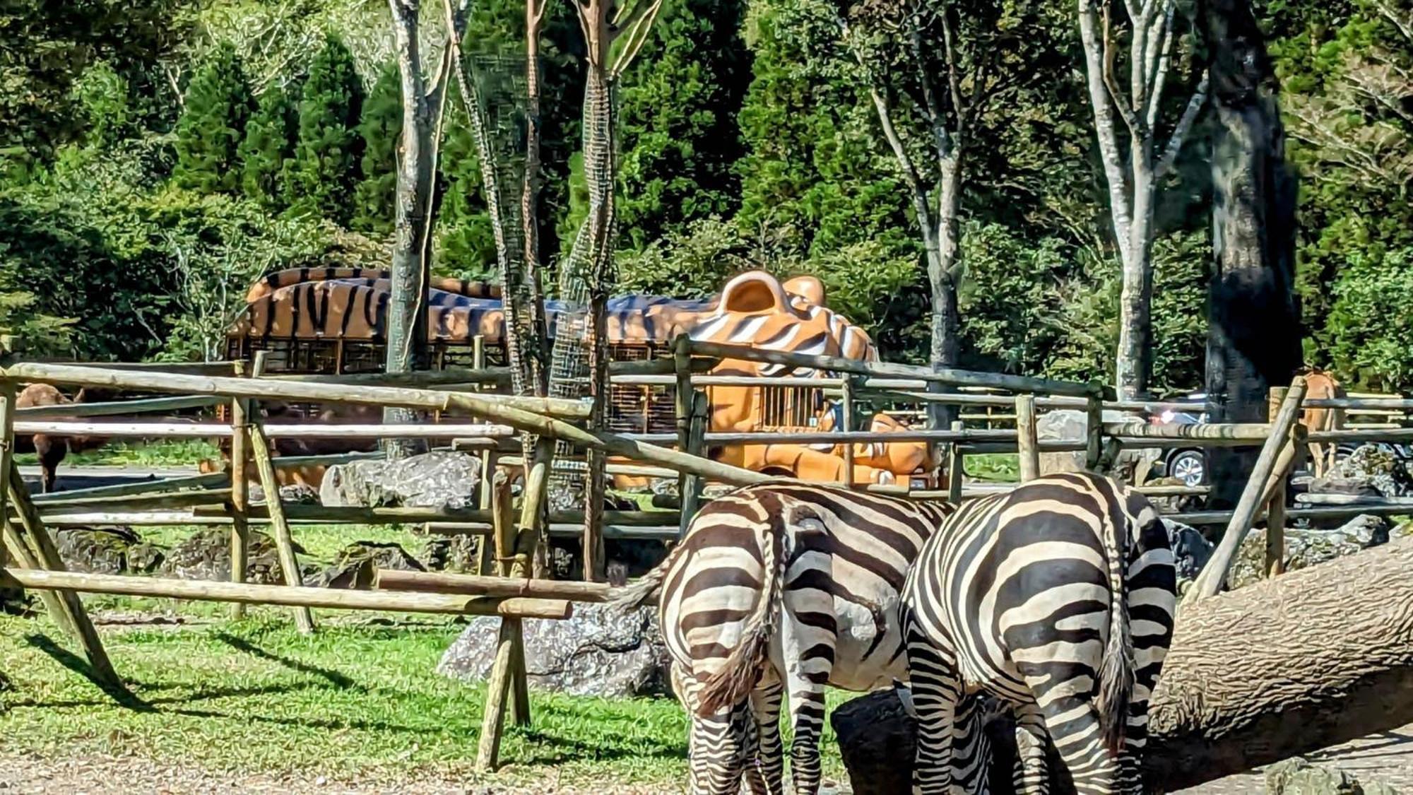 Toyoko Inn Gotemba Ekimae Zewnętrze zdjęcie