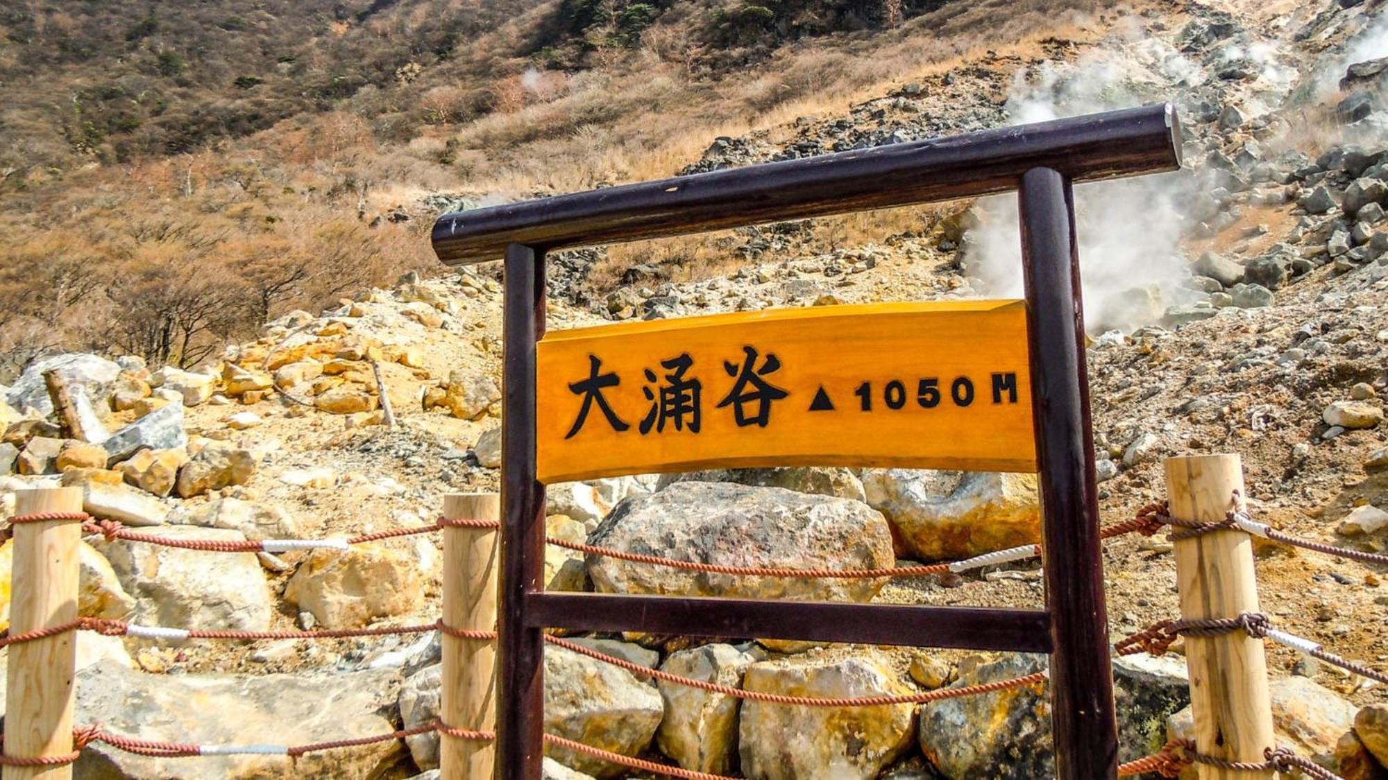 Toyoko Inn Gotemba Ekimae Zewnętrze zdjęcie